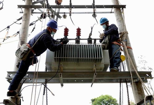 國網福安市供電公司 更換老舊綜配箱，筑牢漁民新村用電安全網