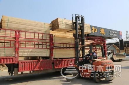 青白江國際木材交易中心 復工滿產 供需兩旺