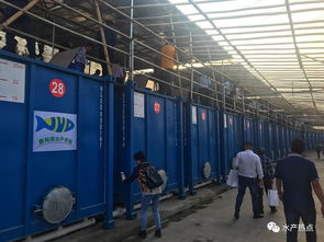 集裝箱養(yǎng)殖要火了嗎 各地的水產站都來觀摩,還成立了聯(lián)盟,或將又是一個新風口