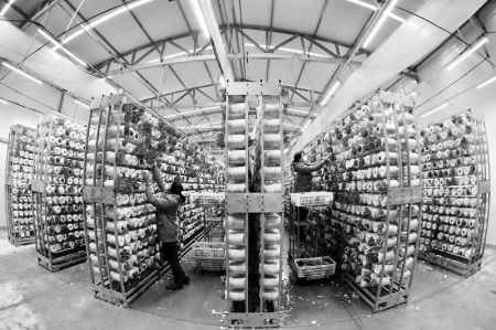 山西農民報數字報