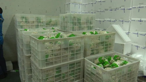 省直機(jī)關(guān)支援隊(duì)為我縣企業(yè) 牽線搭橋 擴(kuò)寬產(chǎn)品購(gòu)銷渠道