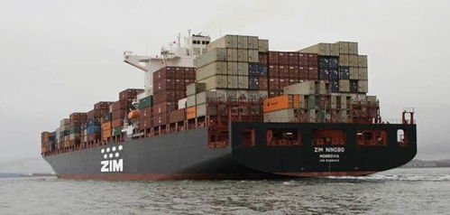 跨境知道快訊 集裝箱船突然減速運行,原因竟然是..